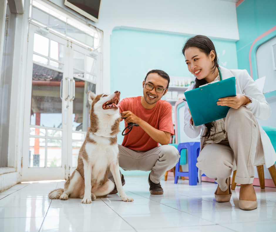 How AI-Powered Client Communication Can Improve the Veterinary Experience