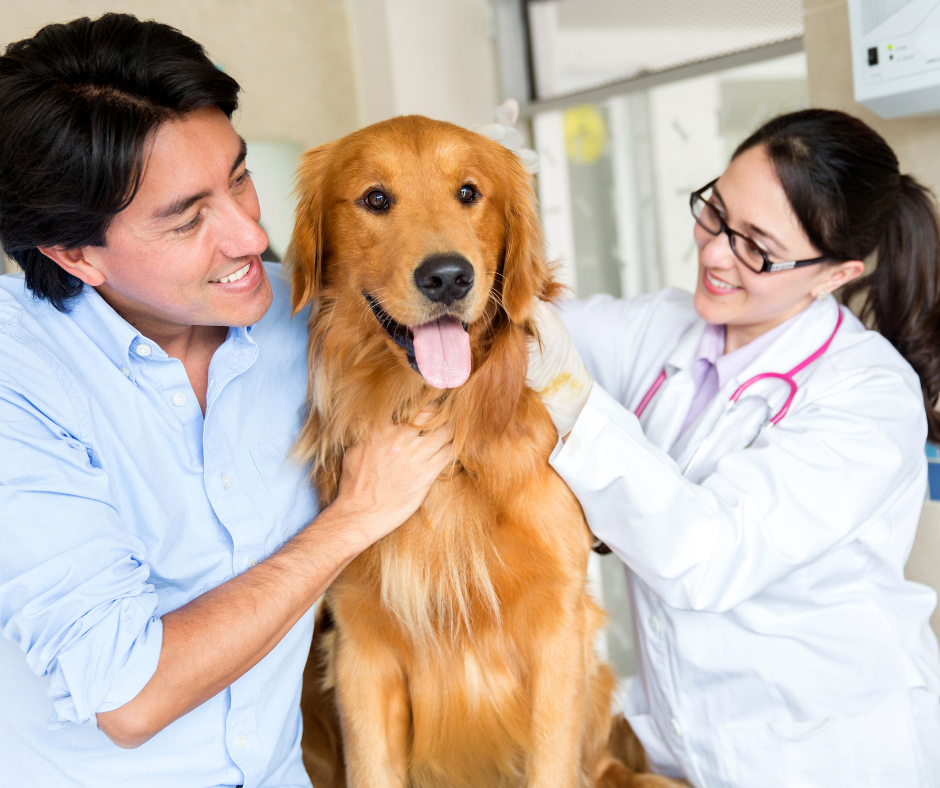 Turning Clients into Advocates: The Power of Great Service