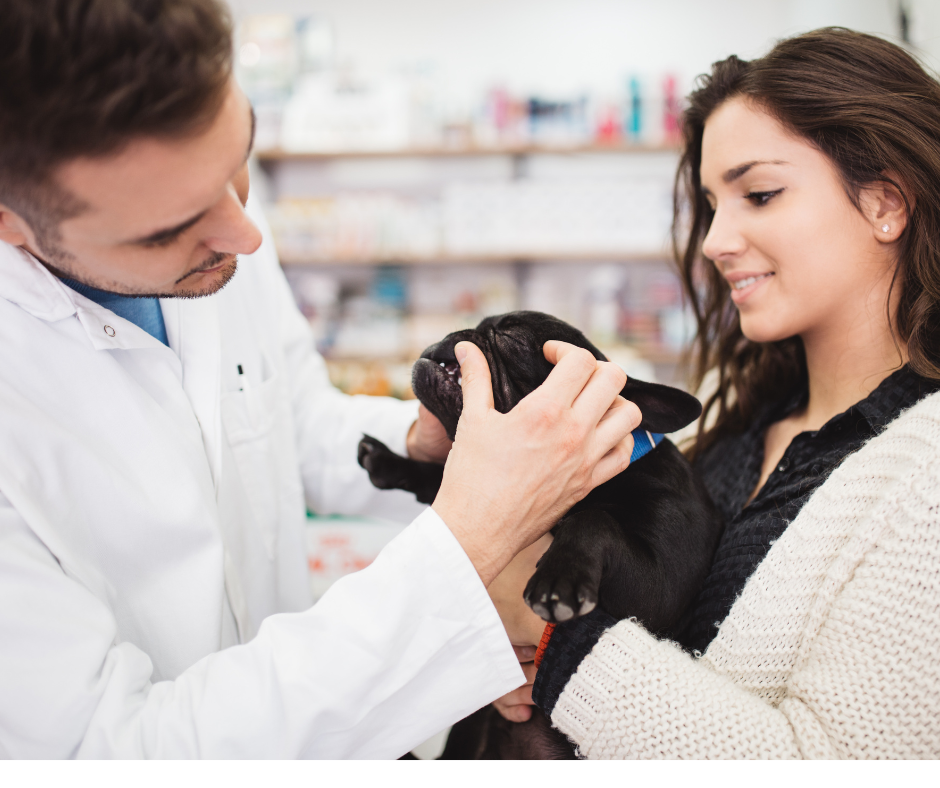 Communication Is Care: Why Client Relationships Belong in the Medical Record