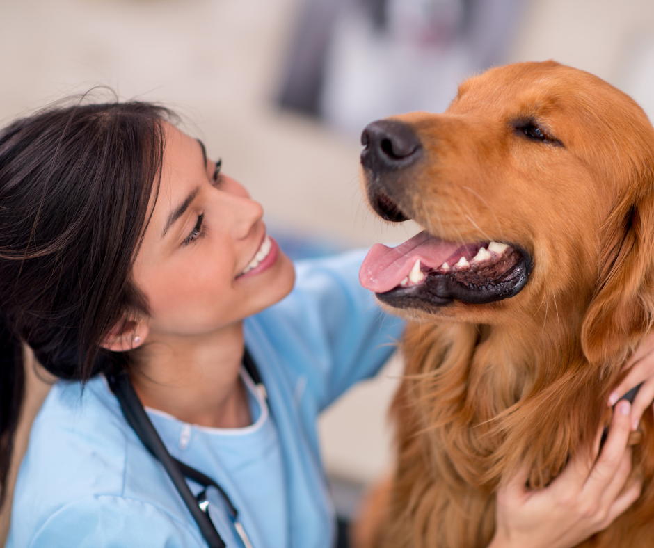 Goal-Setting for Vet Clinics: How to Create Systems That Help You Thrive in 2026