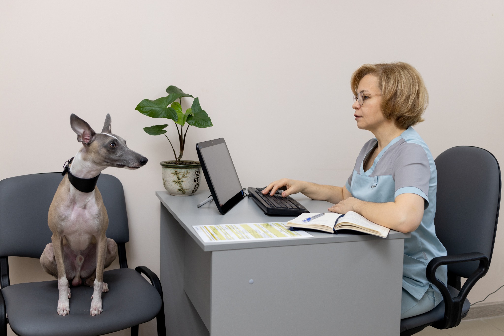 How Cloud-Based Veterinary Software Can Enhance Clinic Efficiency