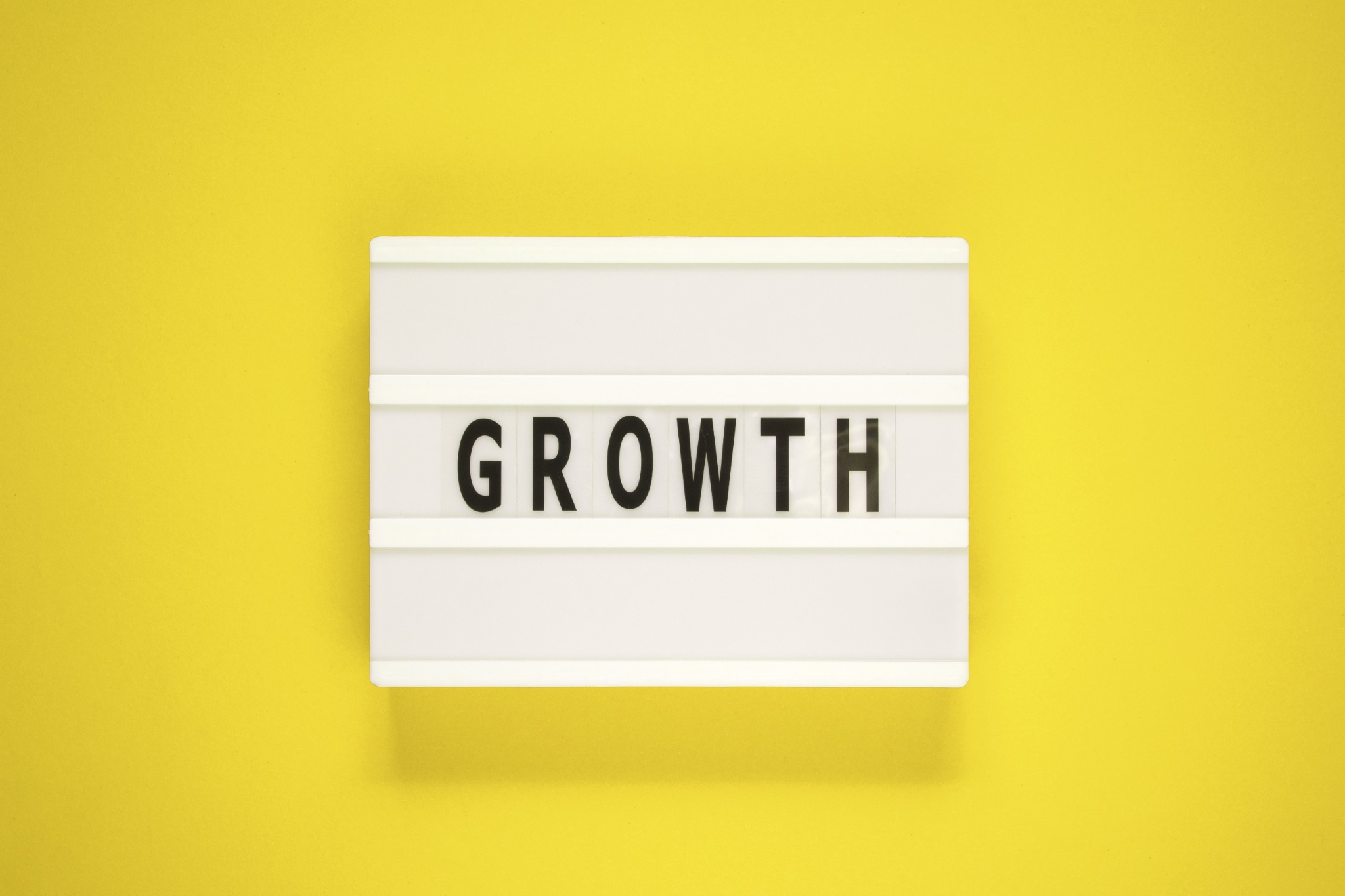 3 Unique Needs of a Growing Veterinary Practice