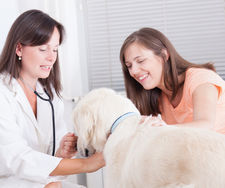 Keep the Human Touch: Why Independent Veterinary Clinics Win Through Relationships, Not Scale