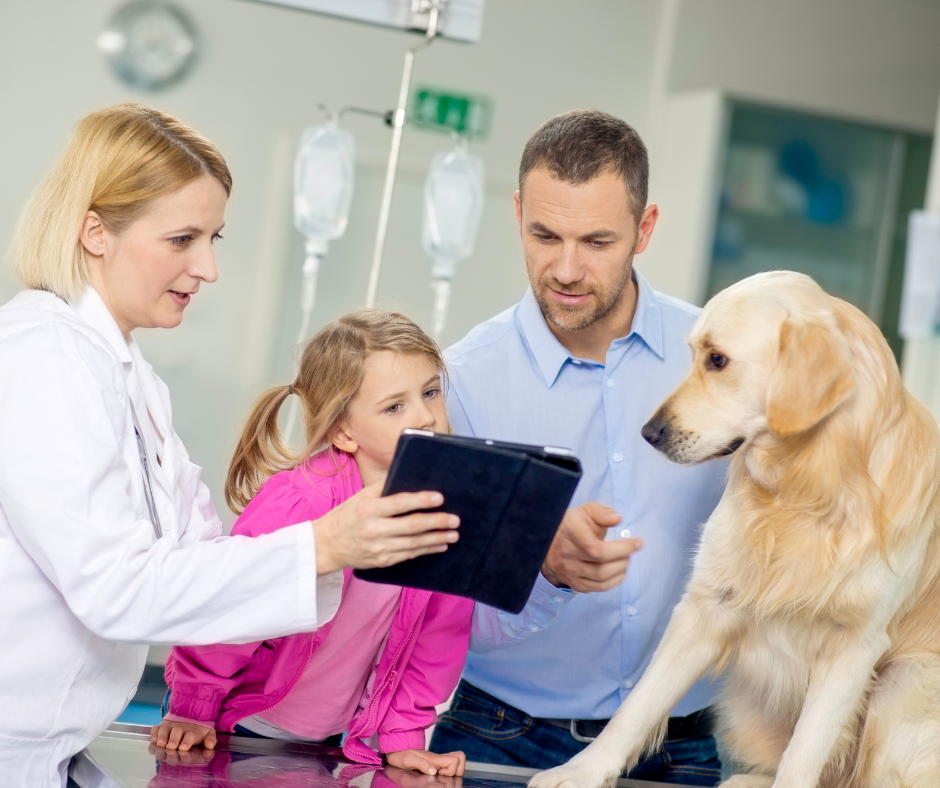 Relationships Are Your Competitive Advantage: Why Independent Veterinary Clinics Win on Connection