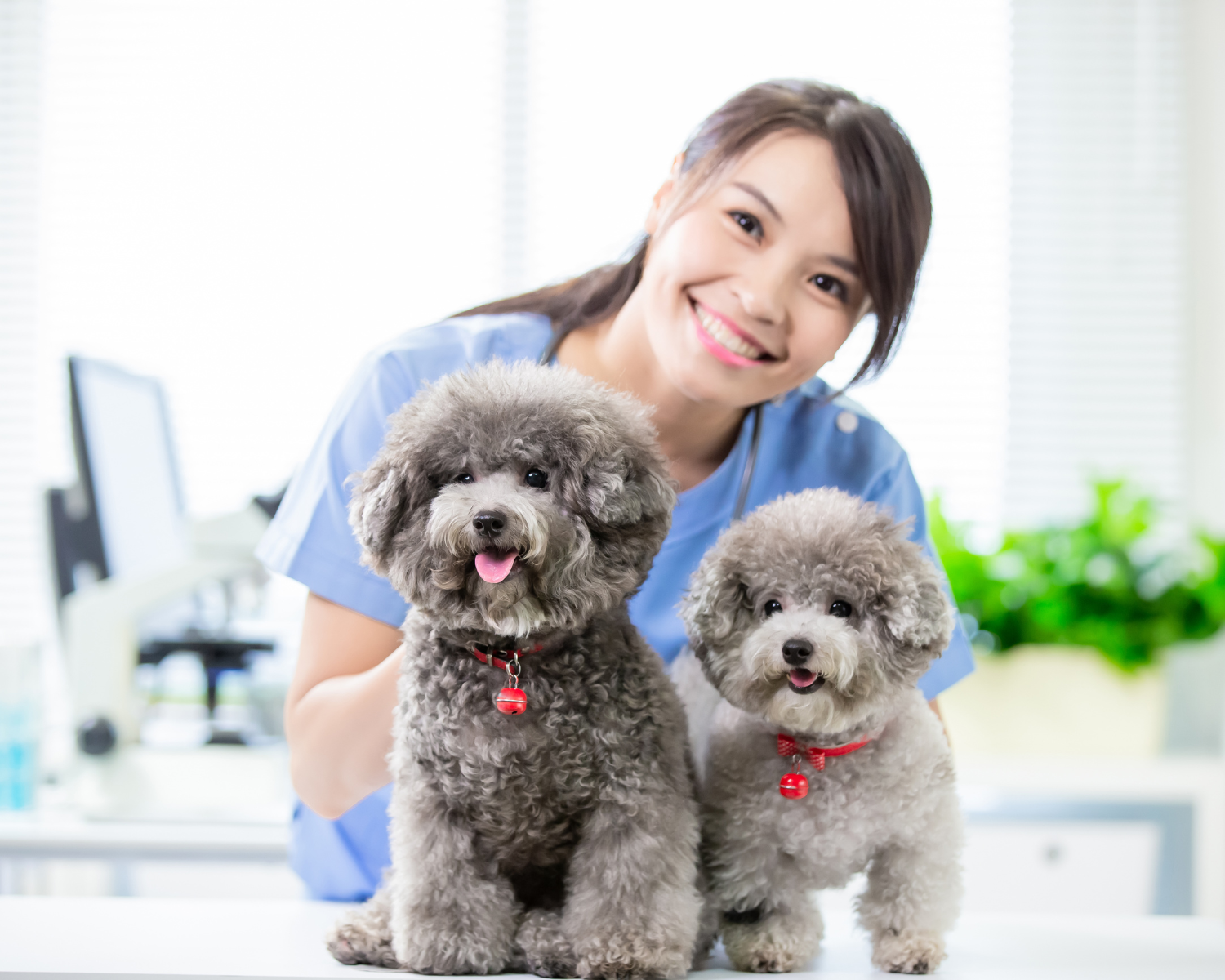 How to Create Sustainable Self-Care Habits for Veterinarians