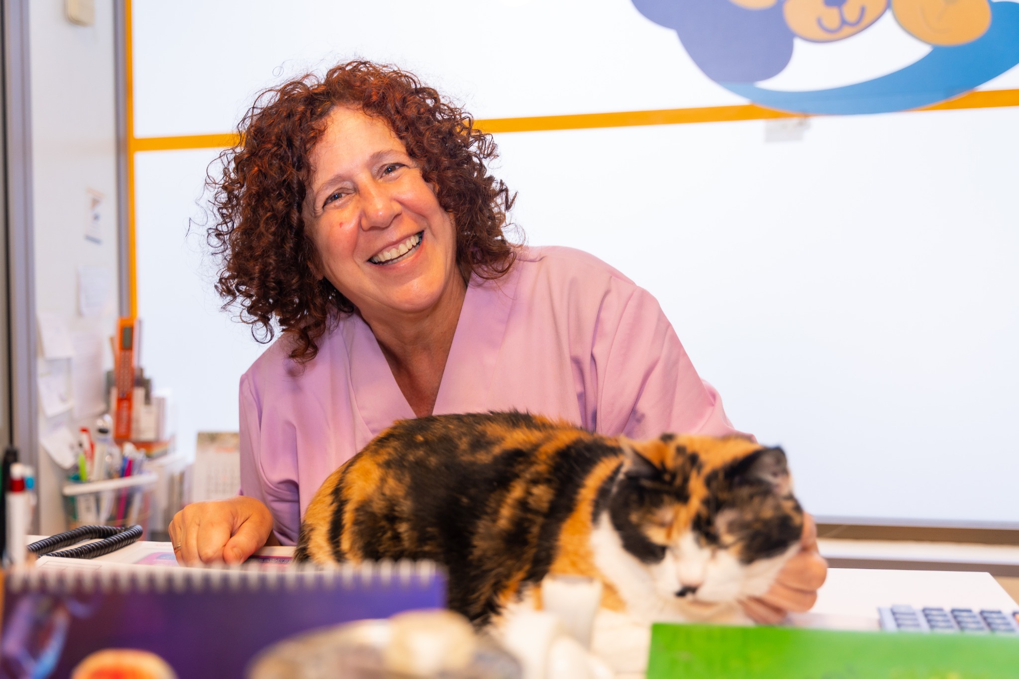 Taming the Chaos—Simple Steps to a Smoother Workday in Vet Med