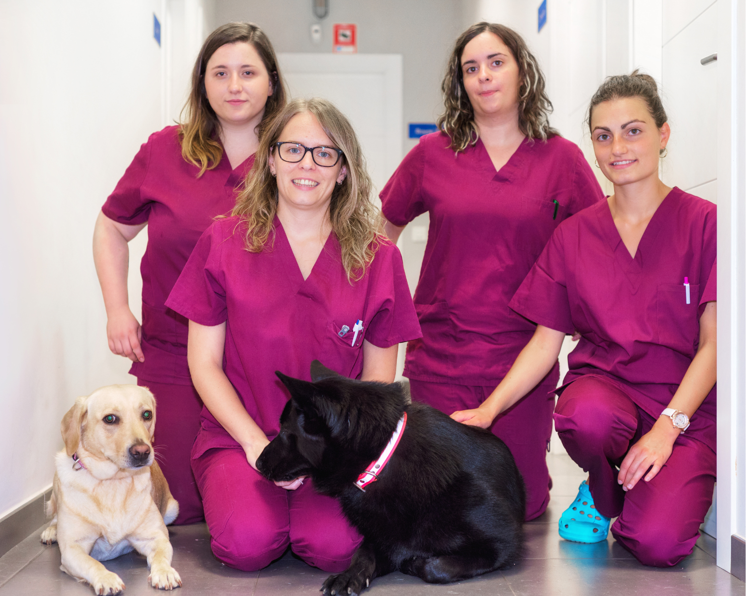 Building a Team That Supports Your Vision