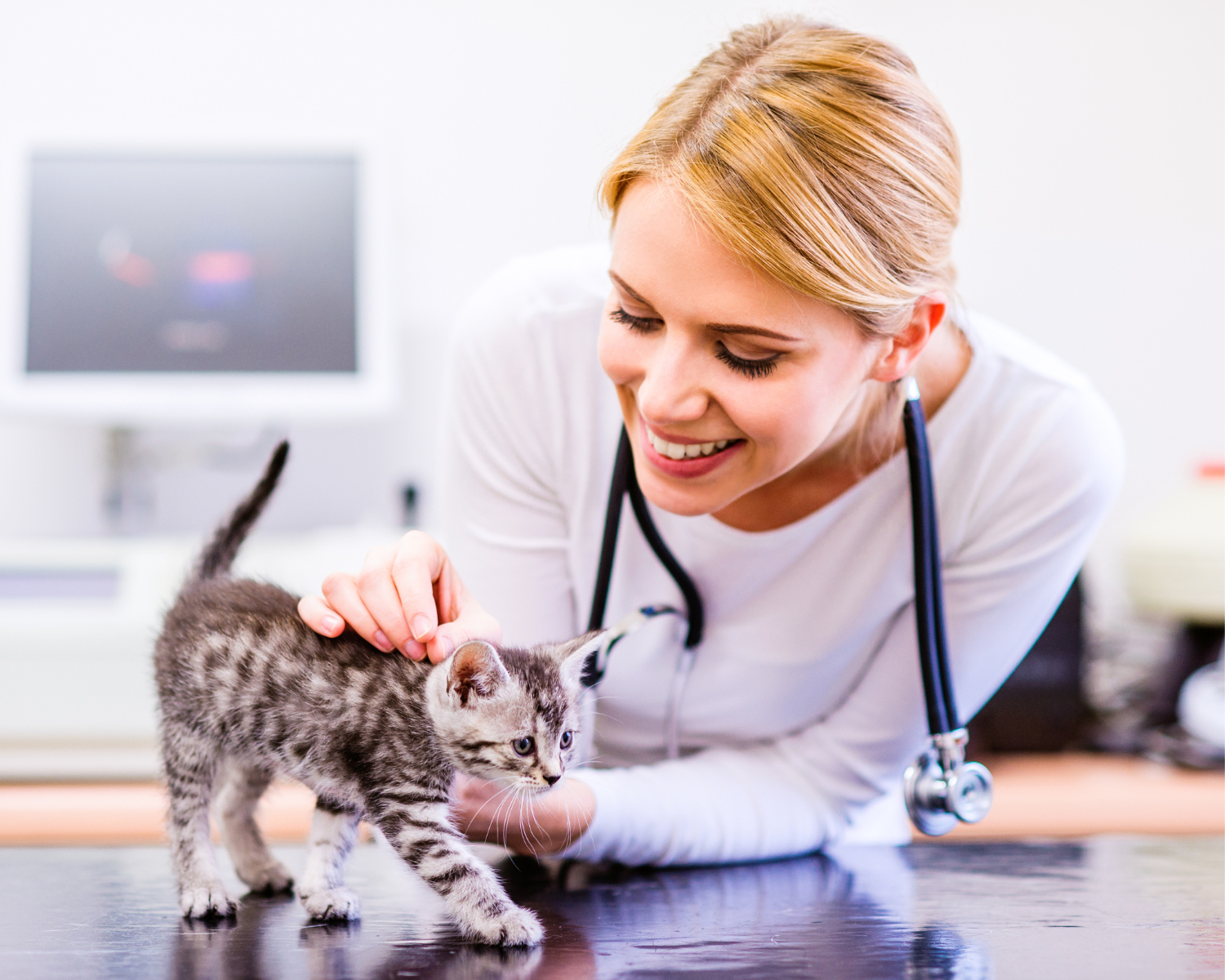 Hacking Time: 5 Tips for Mobile Vets to Work Smarter, Not Harder