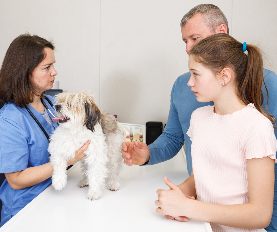 When Communication Breaks Down, Trust Does Too: Closing the Gaps in Your Veterinary Practice
