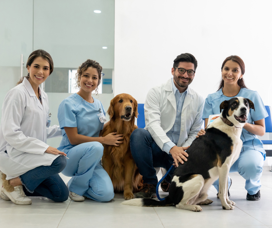 Your Team Is Your Brand: How Internal Communication Shapes the Client Experience